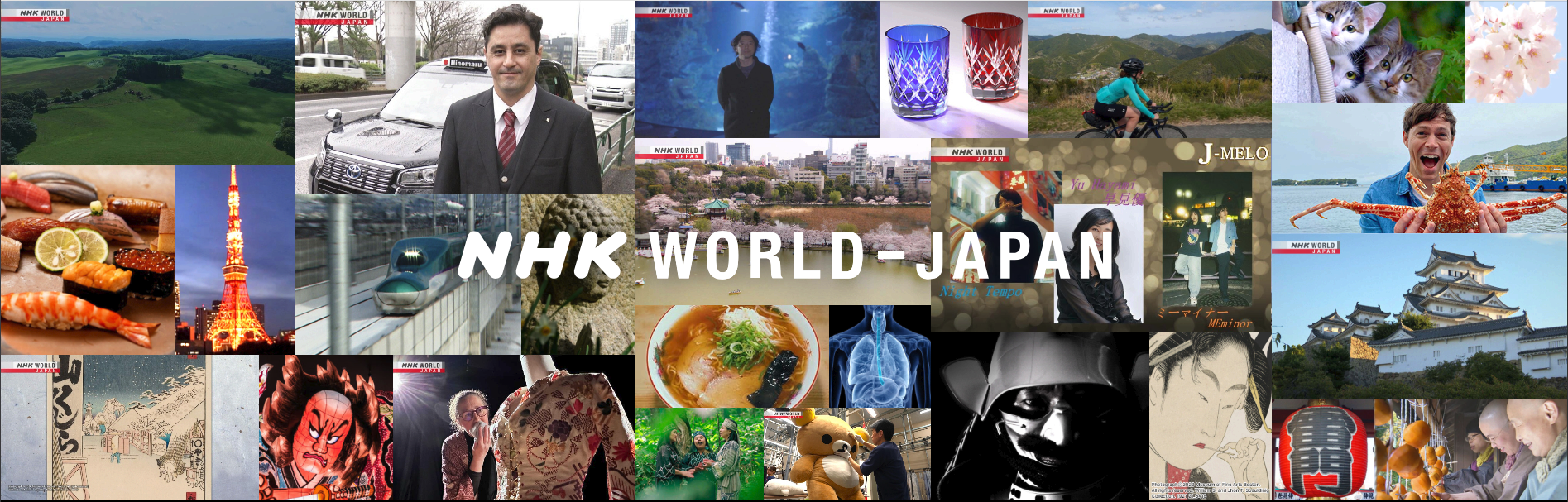 NHK Programming Downloader